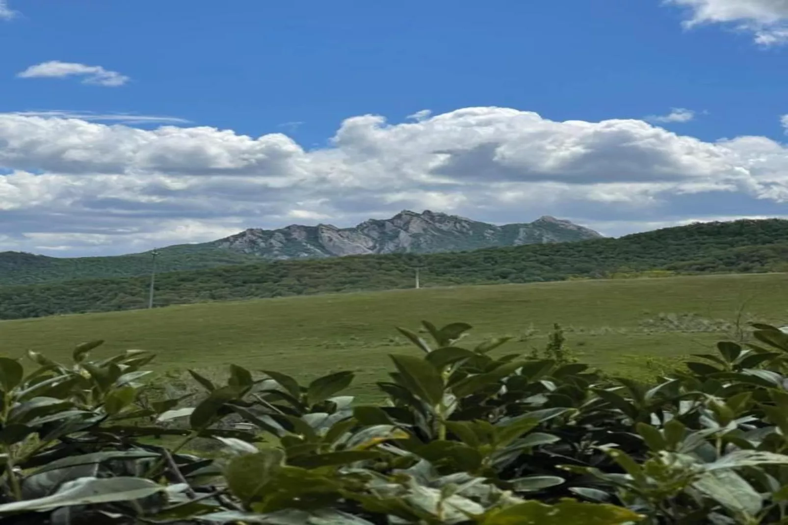 La Foresteria di San Leo-Areas within 20km in summer