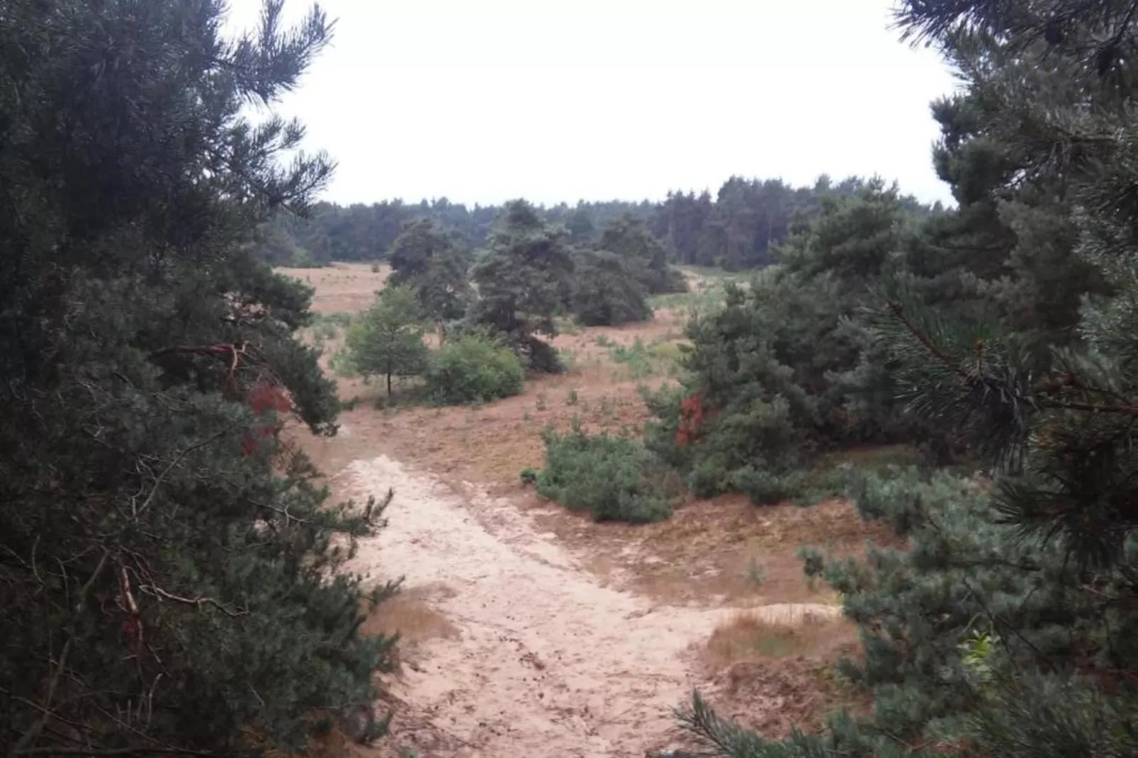 Landgoed De IJsvogel 12-Zones été à 20 km