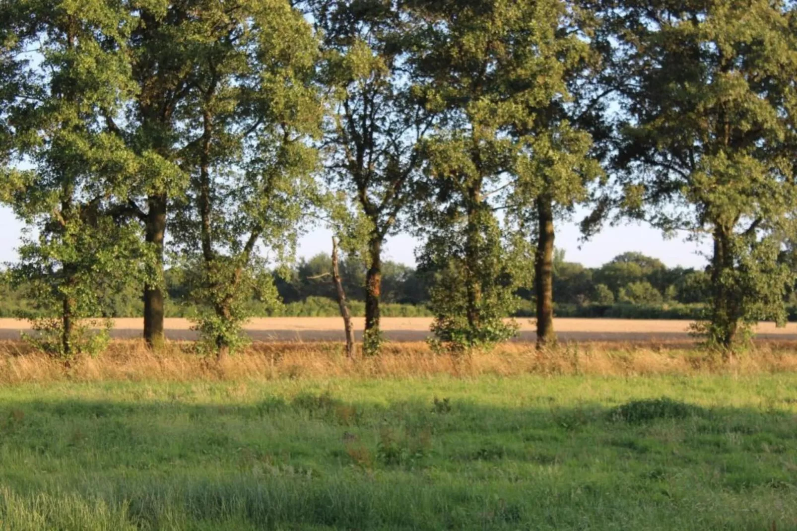 Welskerveen - 4 personen-Areas within 20km in summer