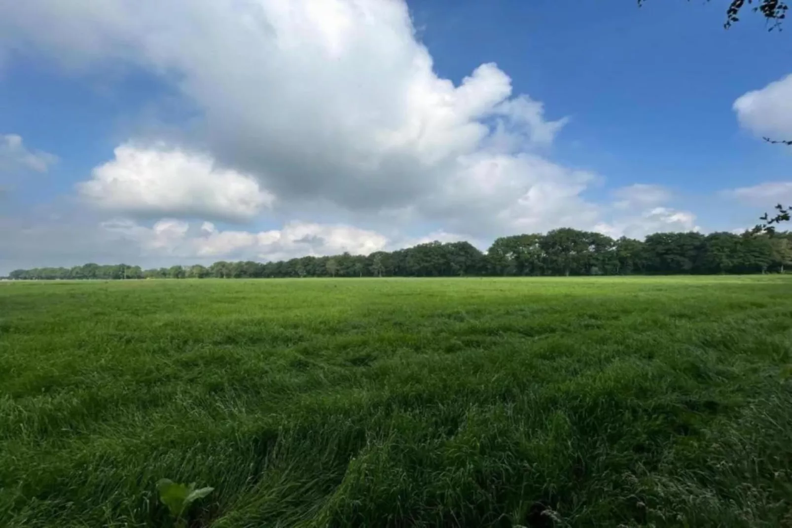 De Weelderik 1-Areas within 20km in summer