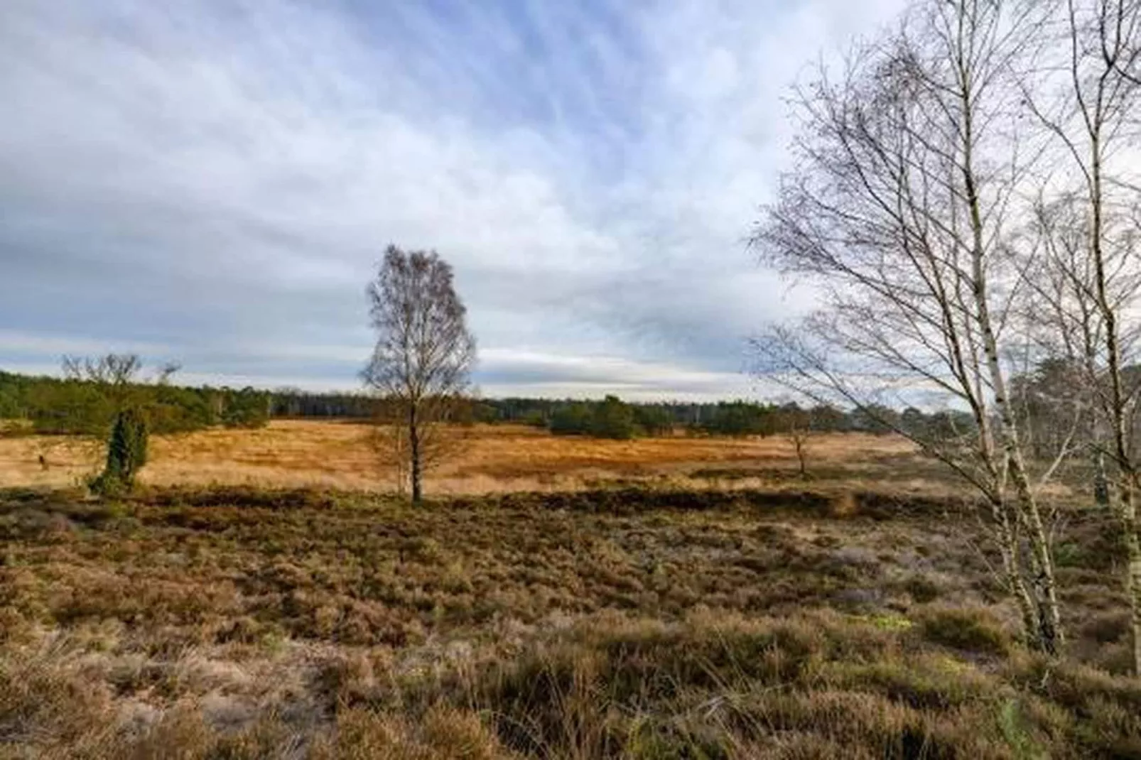 Bospark de Schaapskooi 10-Areas within 20km in summer