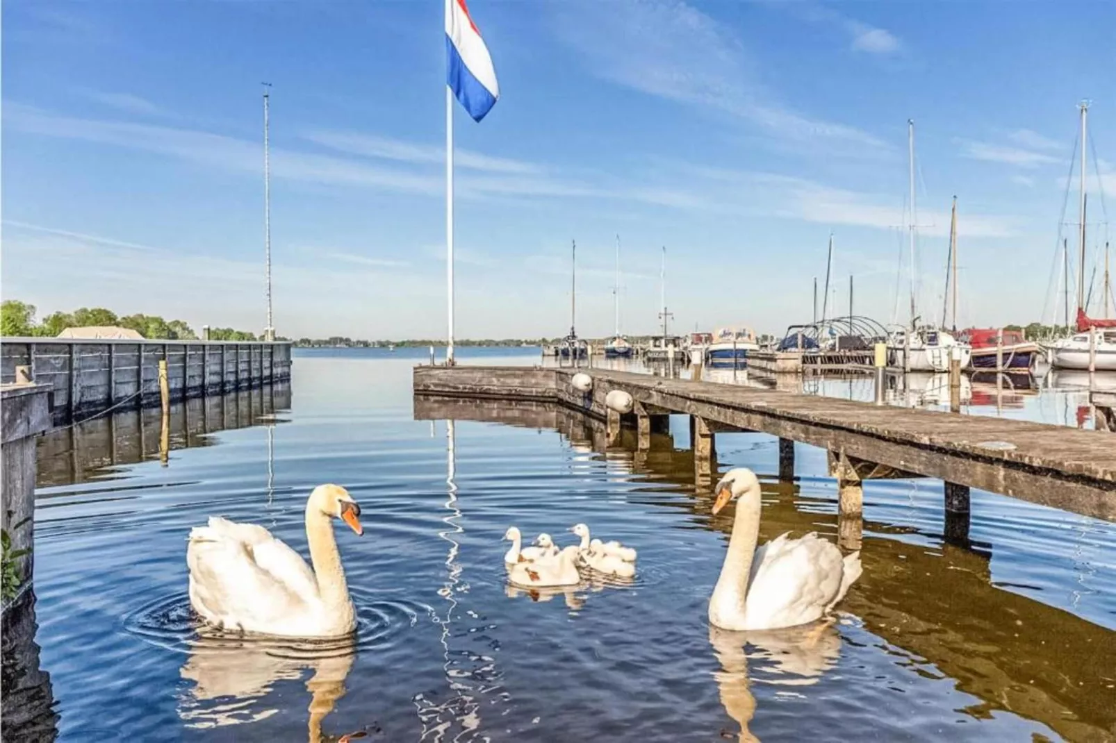 MarinaPark Nieuw Loosdrecht 1-Gebiete Sommer 20 km