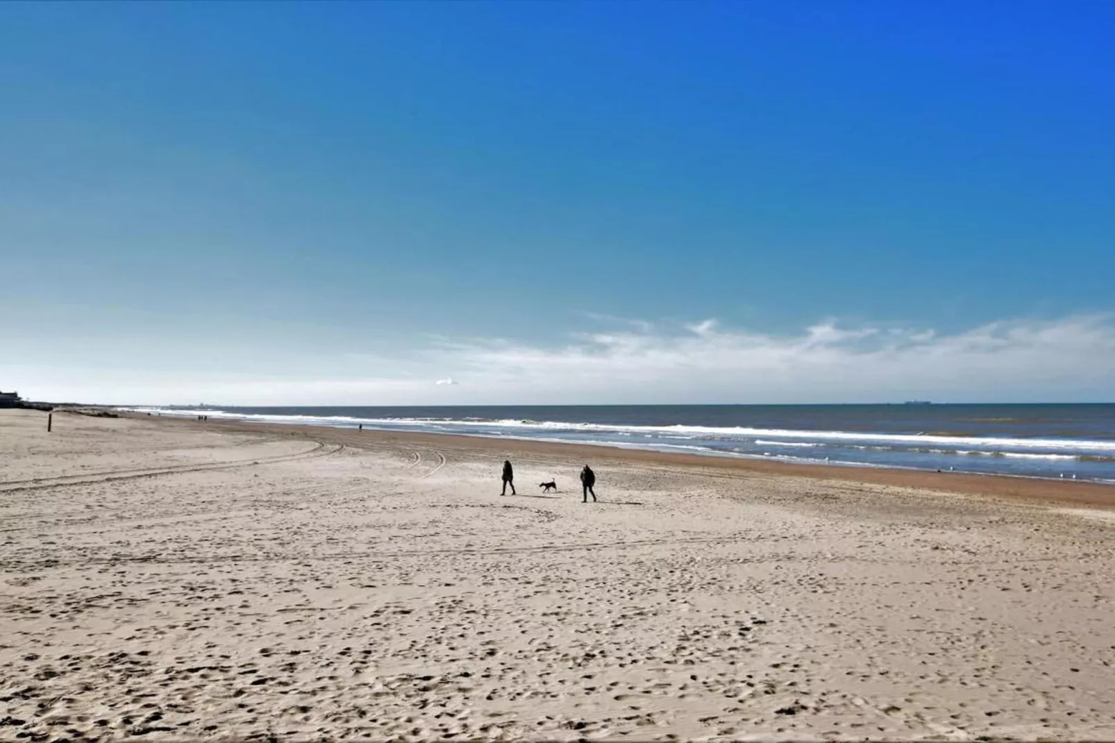 Vakantiepark Duinrust 2-Areas within 20km in summer