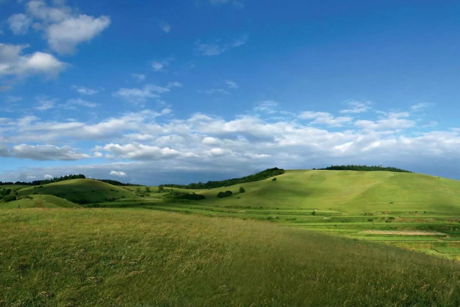 Monet-Areas within 20km in summer