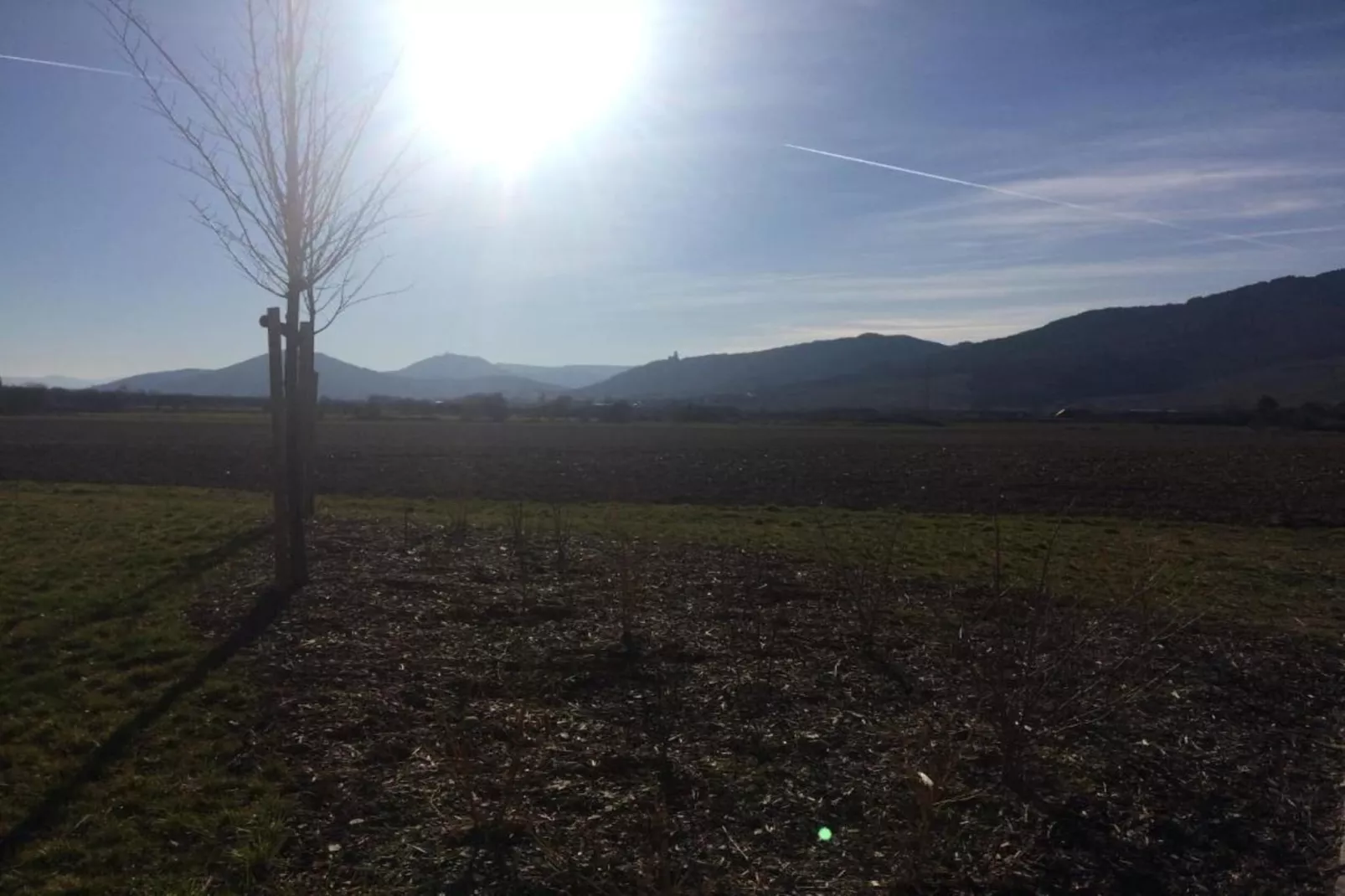 Magnifique Appartement Alsacien-Areas within 20km in summer