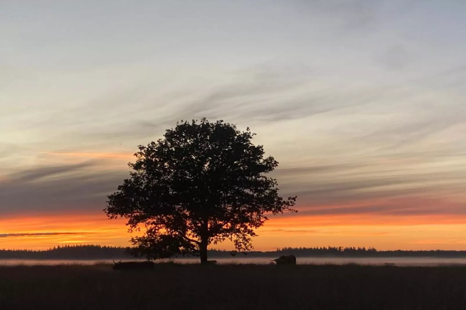 't Landgoed Baars 1-Areas within 20km in summer