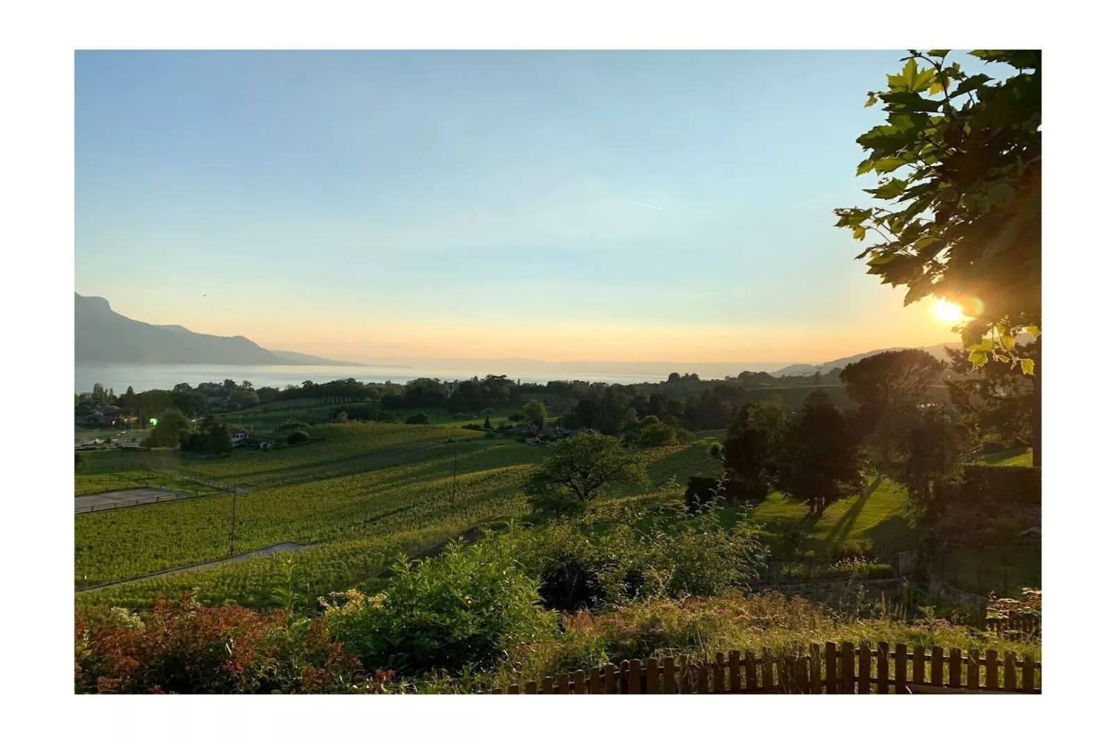 474920-View in summer