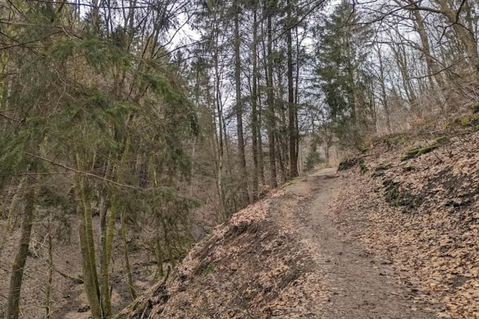 Auszeit Winterberg-Areas within 5km in summer