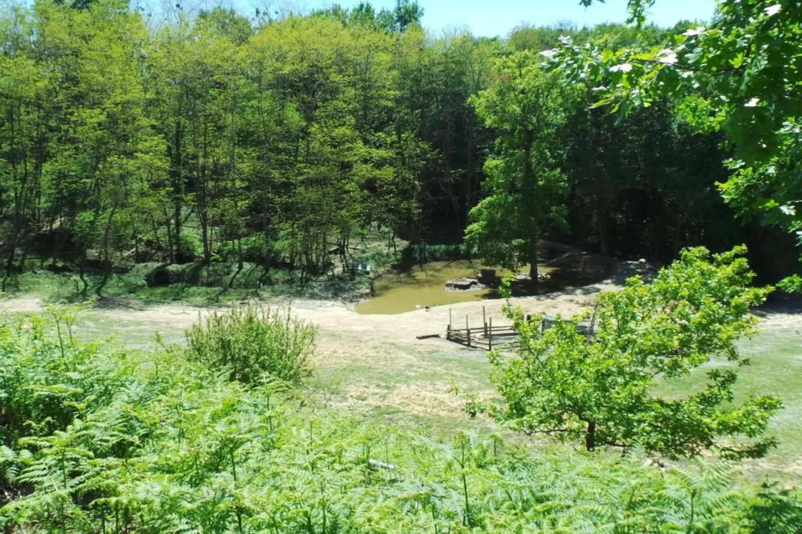 Camiran-Gebiete Sommer 20 km