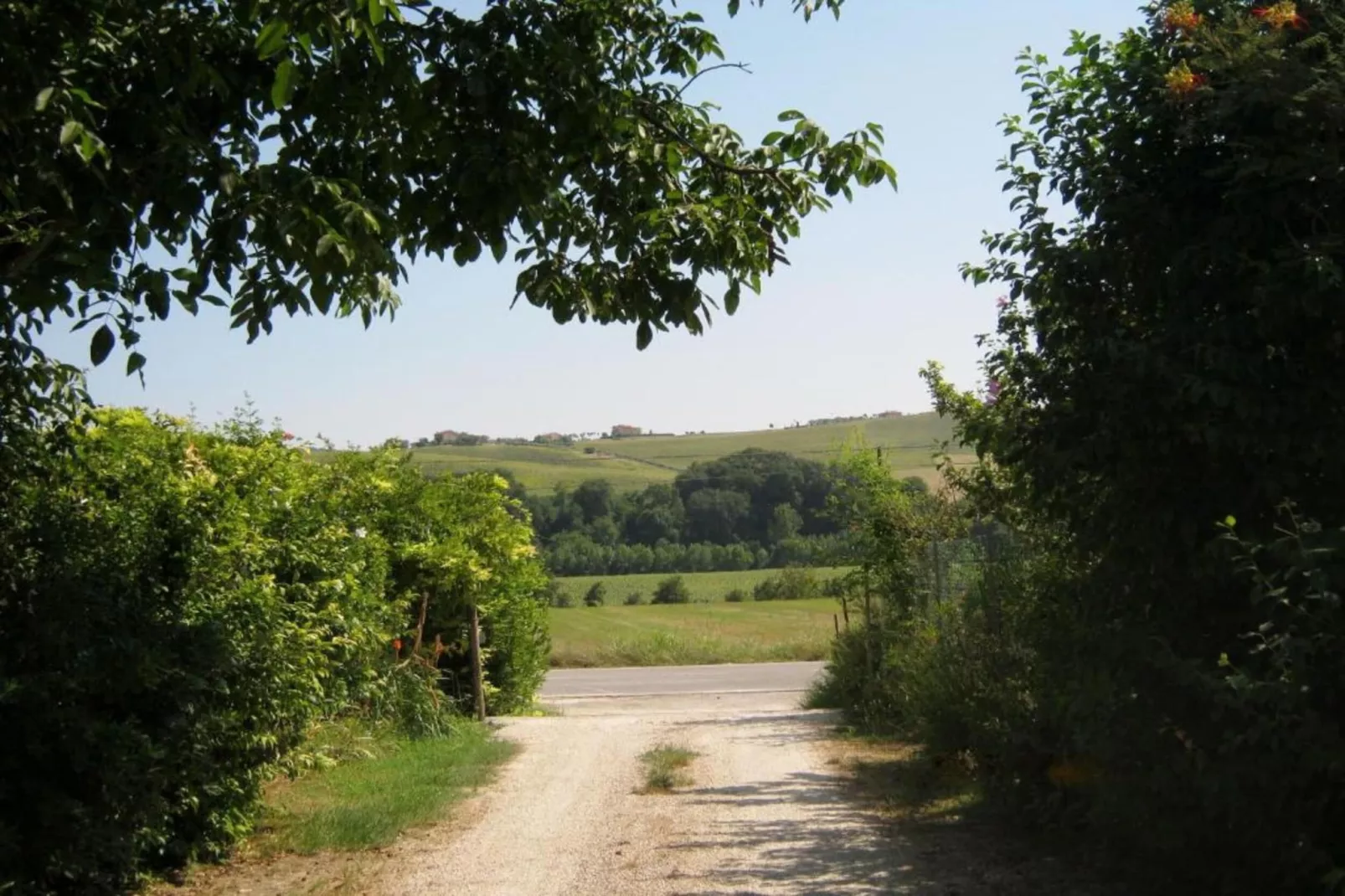 Pepe-Areas within 20km in summer