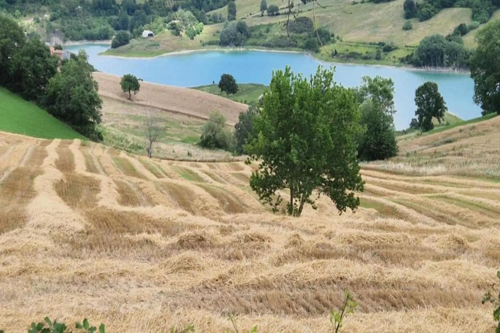 Binnella 18-Areas within 20km in summer