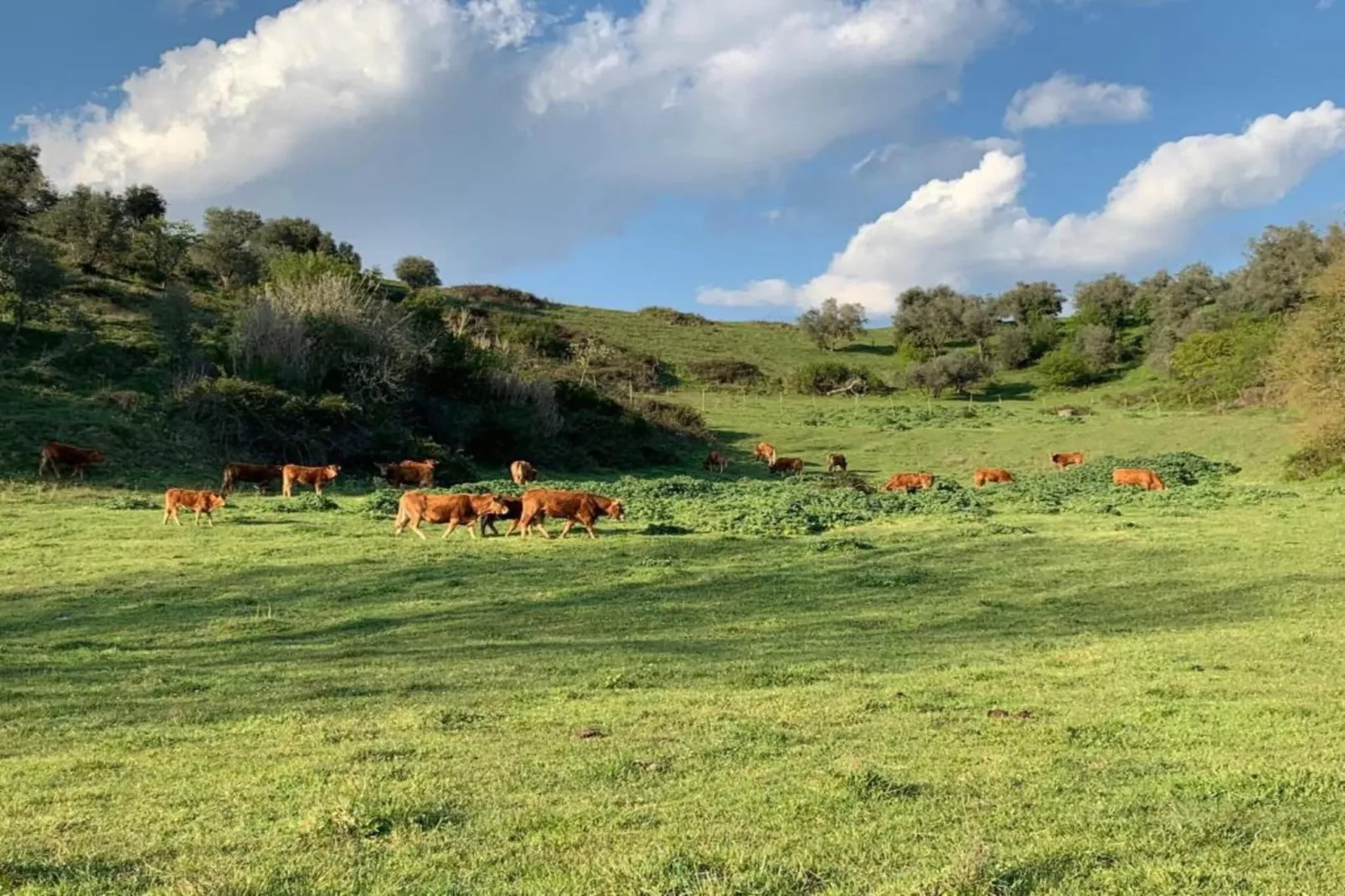 Giuditta Sei-Areas within 5km in summer