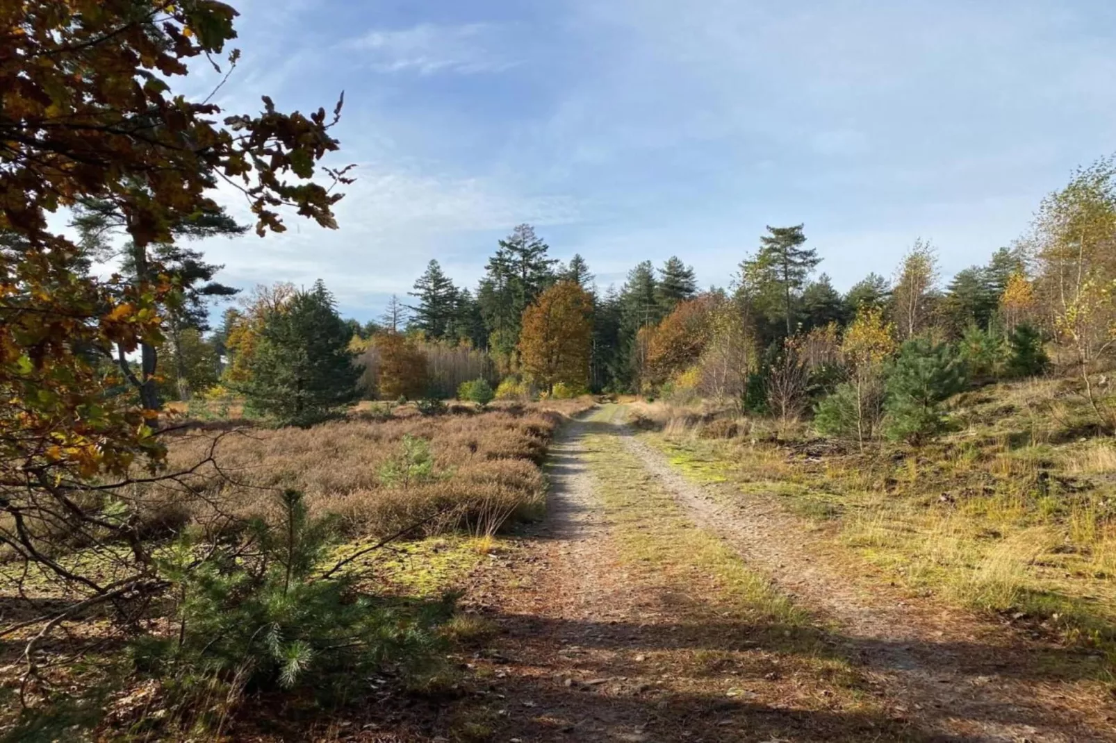 Dorpswoning Op Niveau 4-Areas within 20km in summer