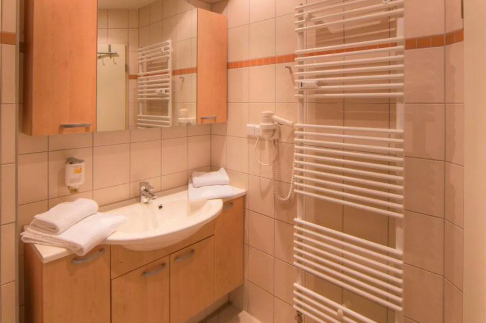 Schneeeule 207-Bathroom