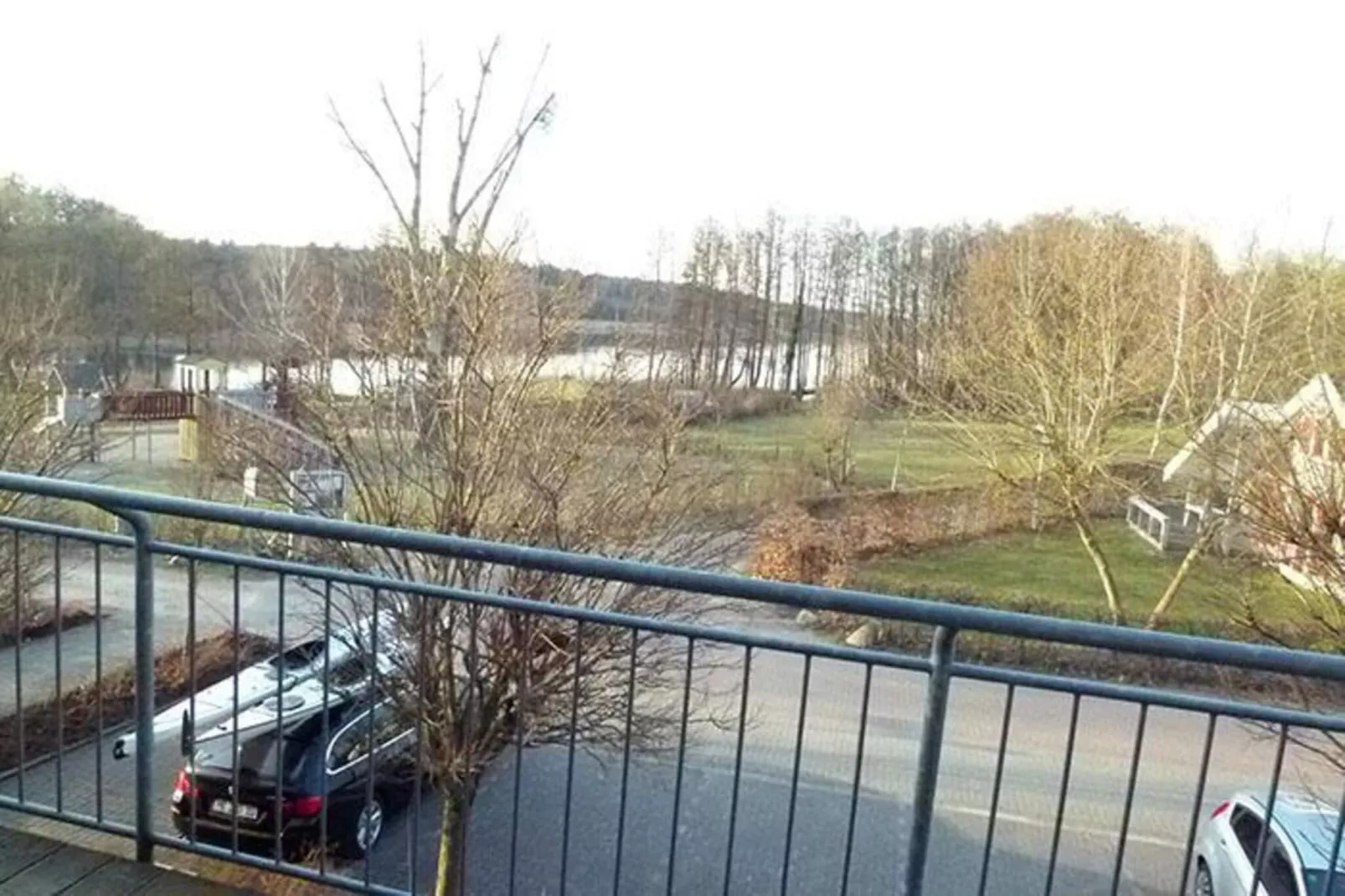 Schneeeule 222-Aussicht Sommer