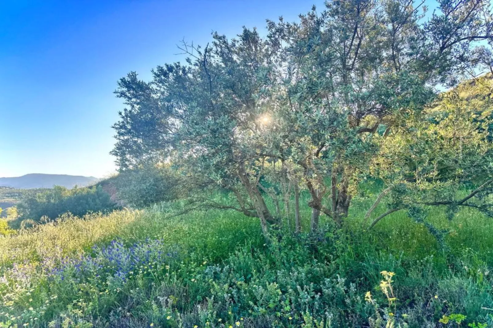 El Ensueno-Zones été à 5 km