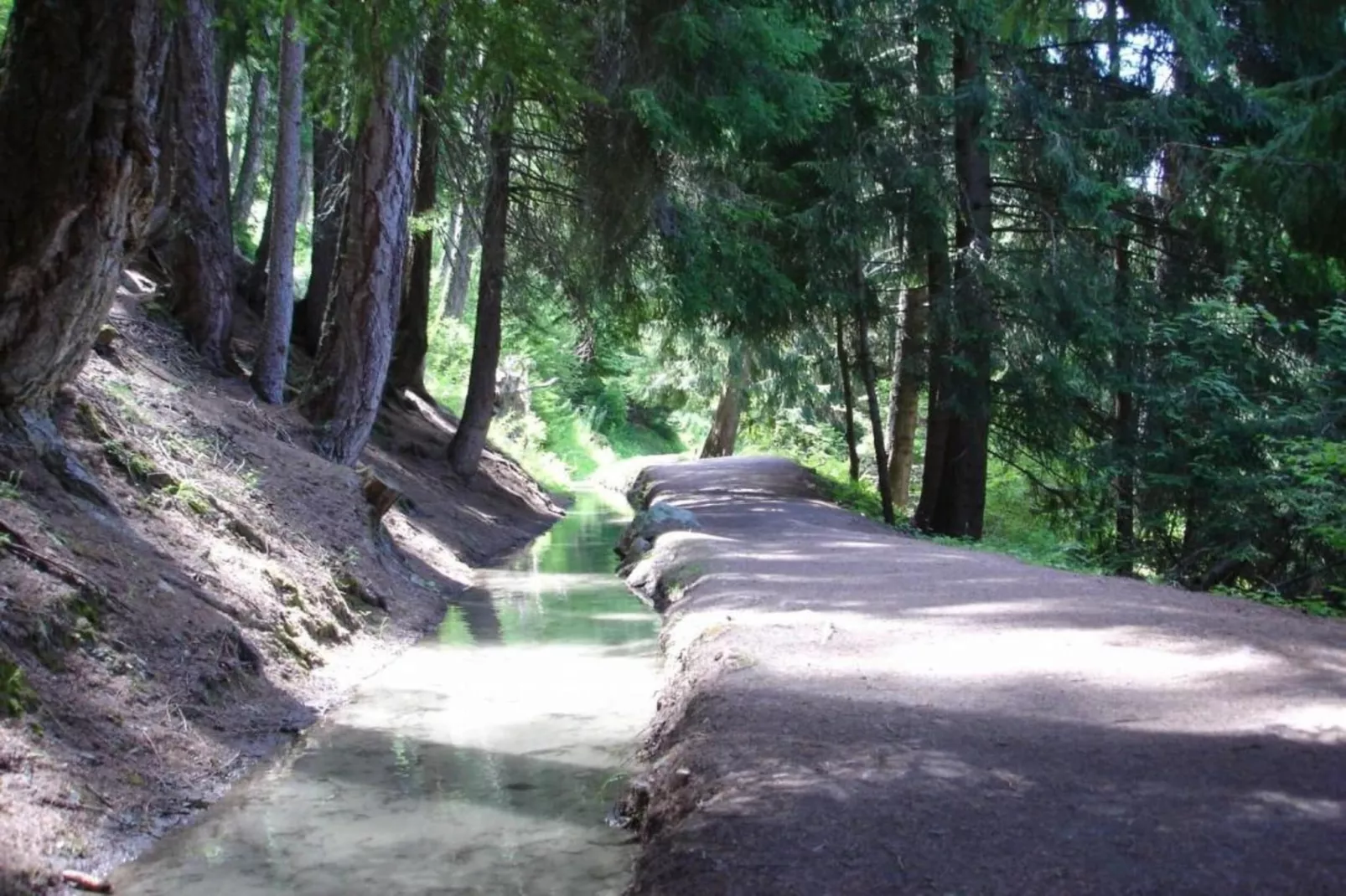 Fontanettaz V 014 - MOUNTAIN apartment 4 pers-Gebiete Sommer 20 km