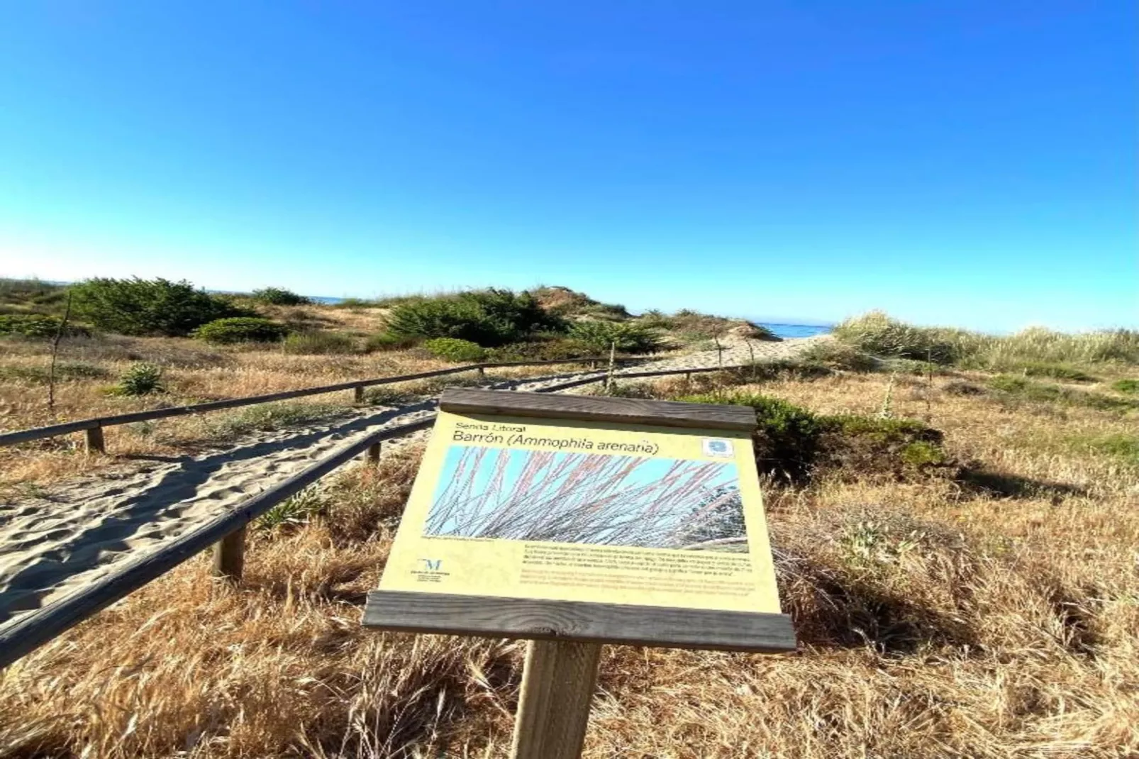 Alvarito Playa-Areas within 5km in summer
