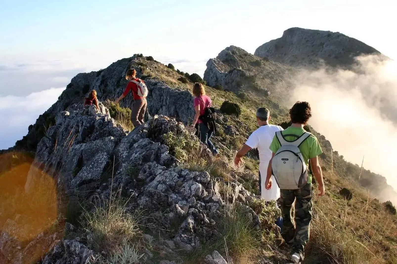 La Floresta Sur 8-1-Gebiete Sommer 20 km