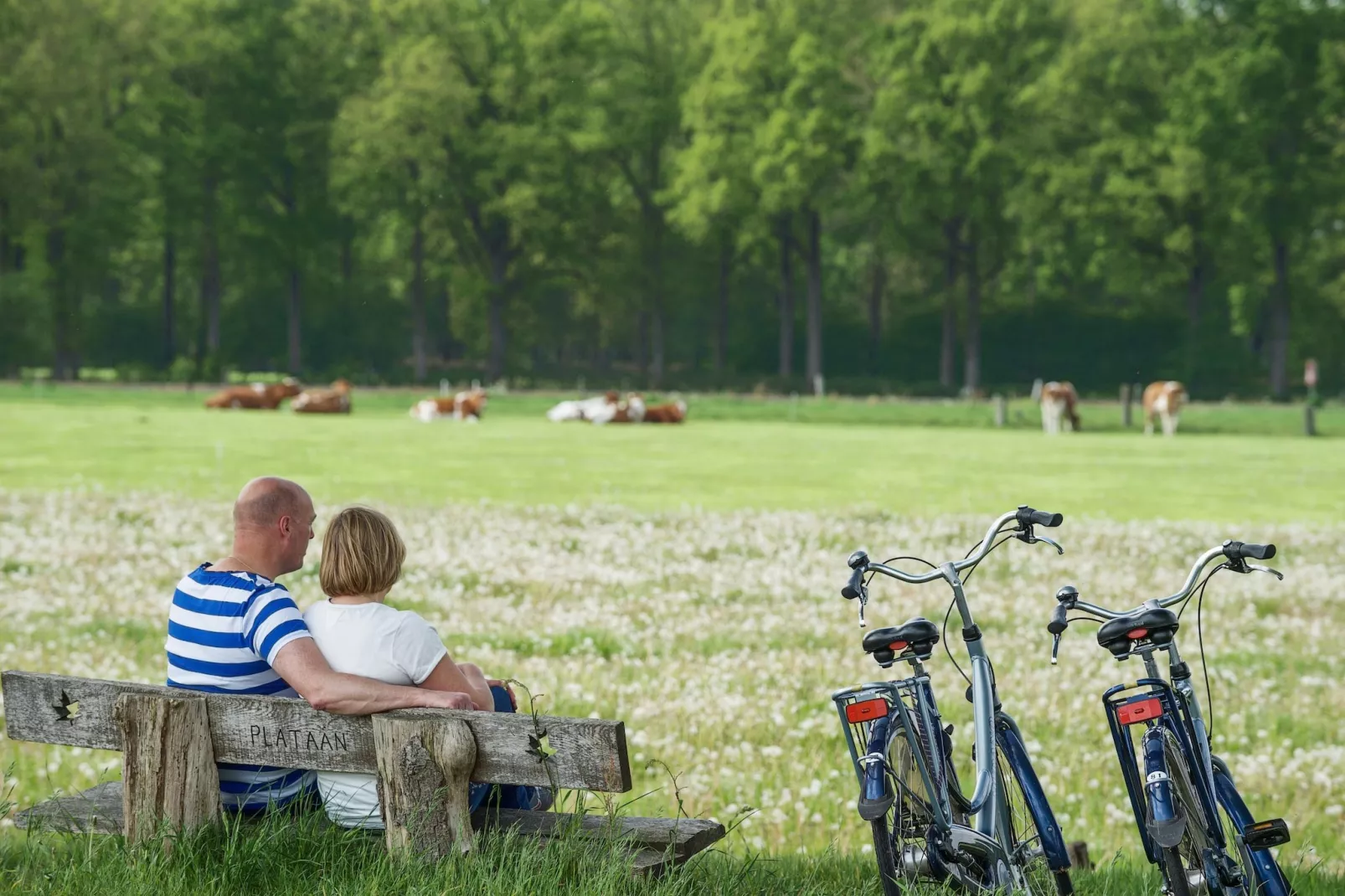 Chalet 2-persons-Areas within 5km in summer