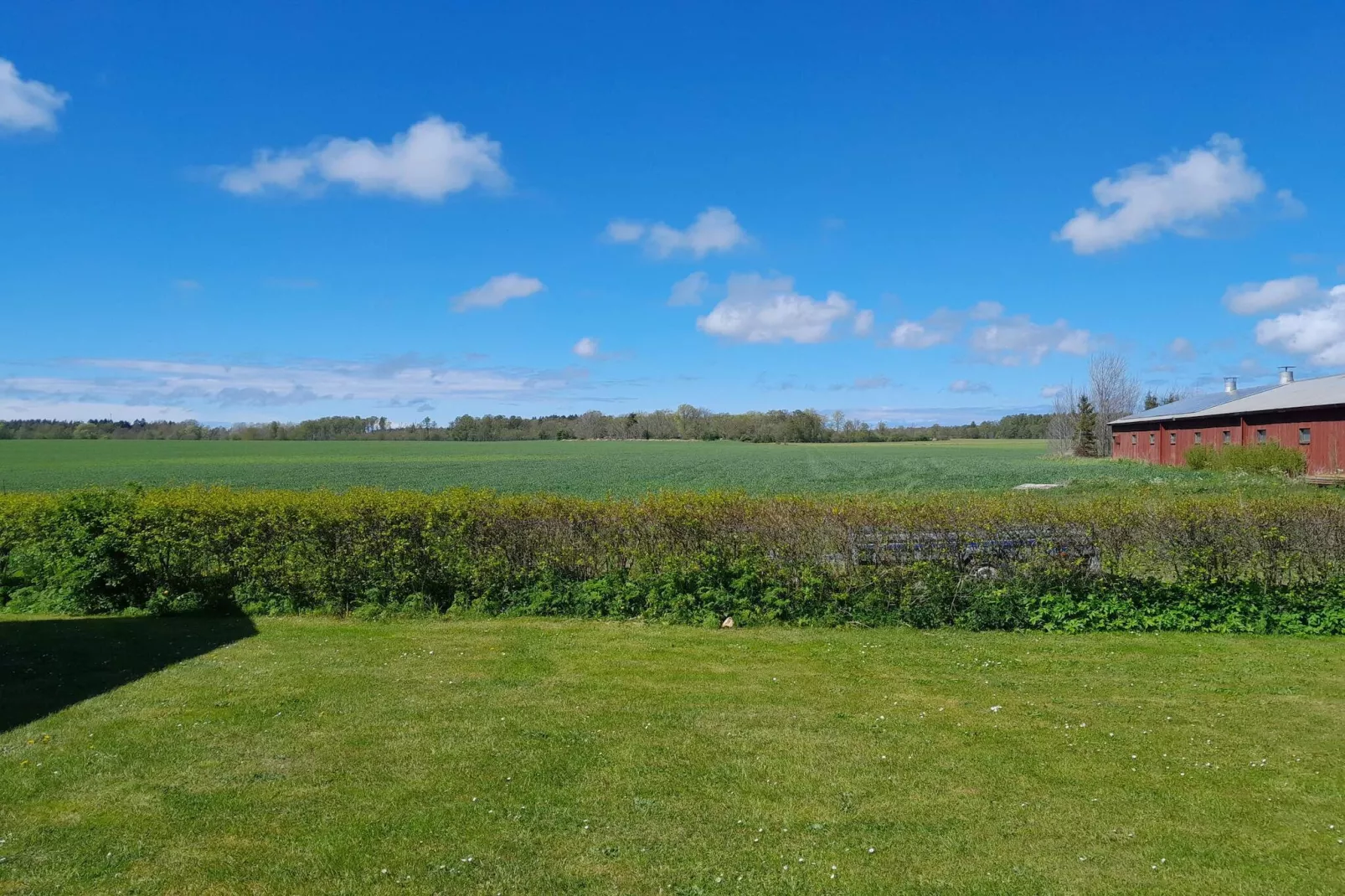 4 etoiles maison de vacances a GOTLANDS TOFTA-Extérieur