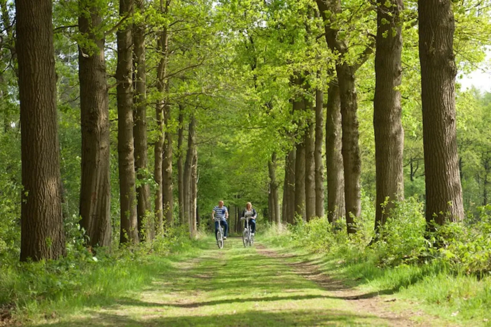 Studio landscape - Zones été à 1 km