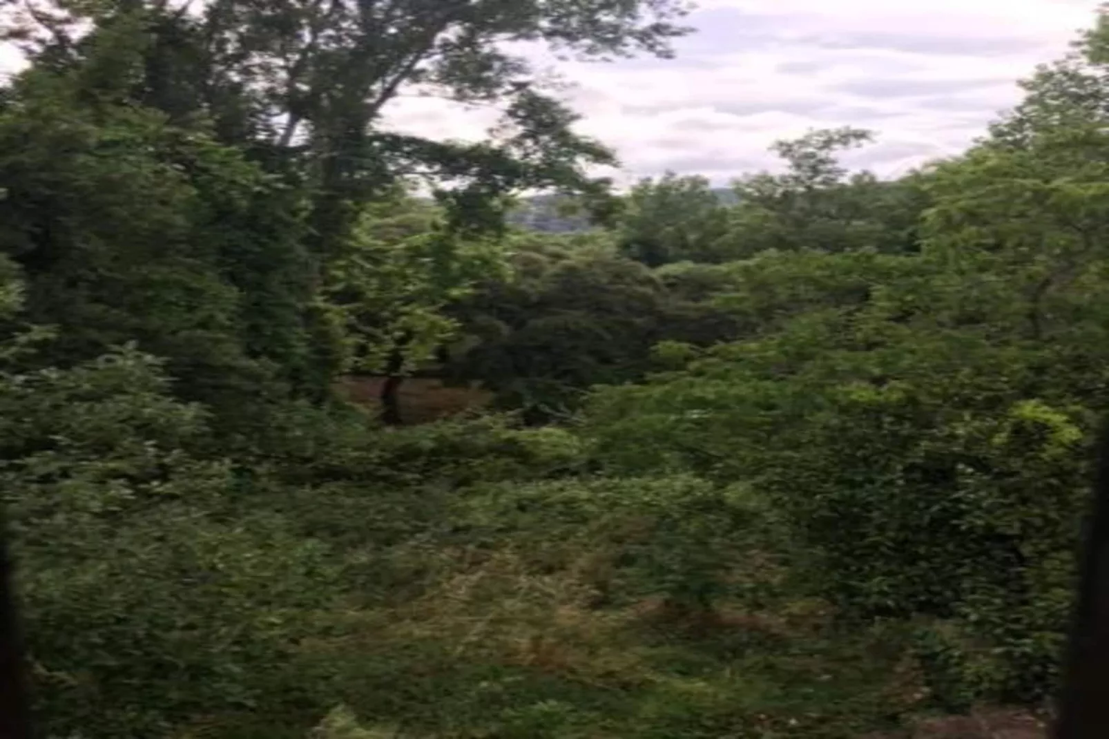 The Rabbit-Areas within 20km in summer