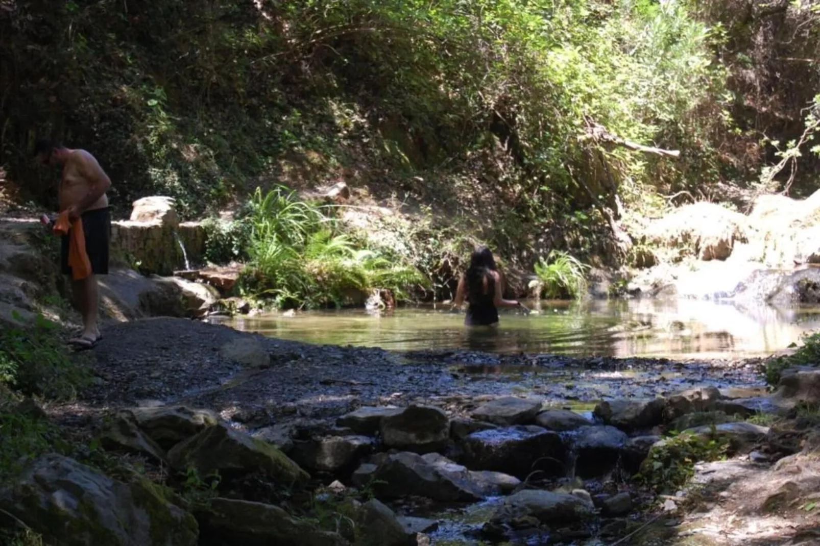 The Turtle-Areas within 5km in summer