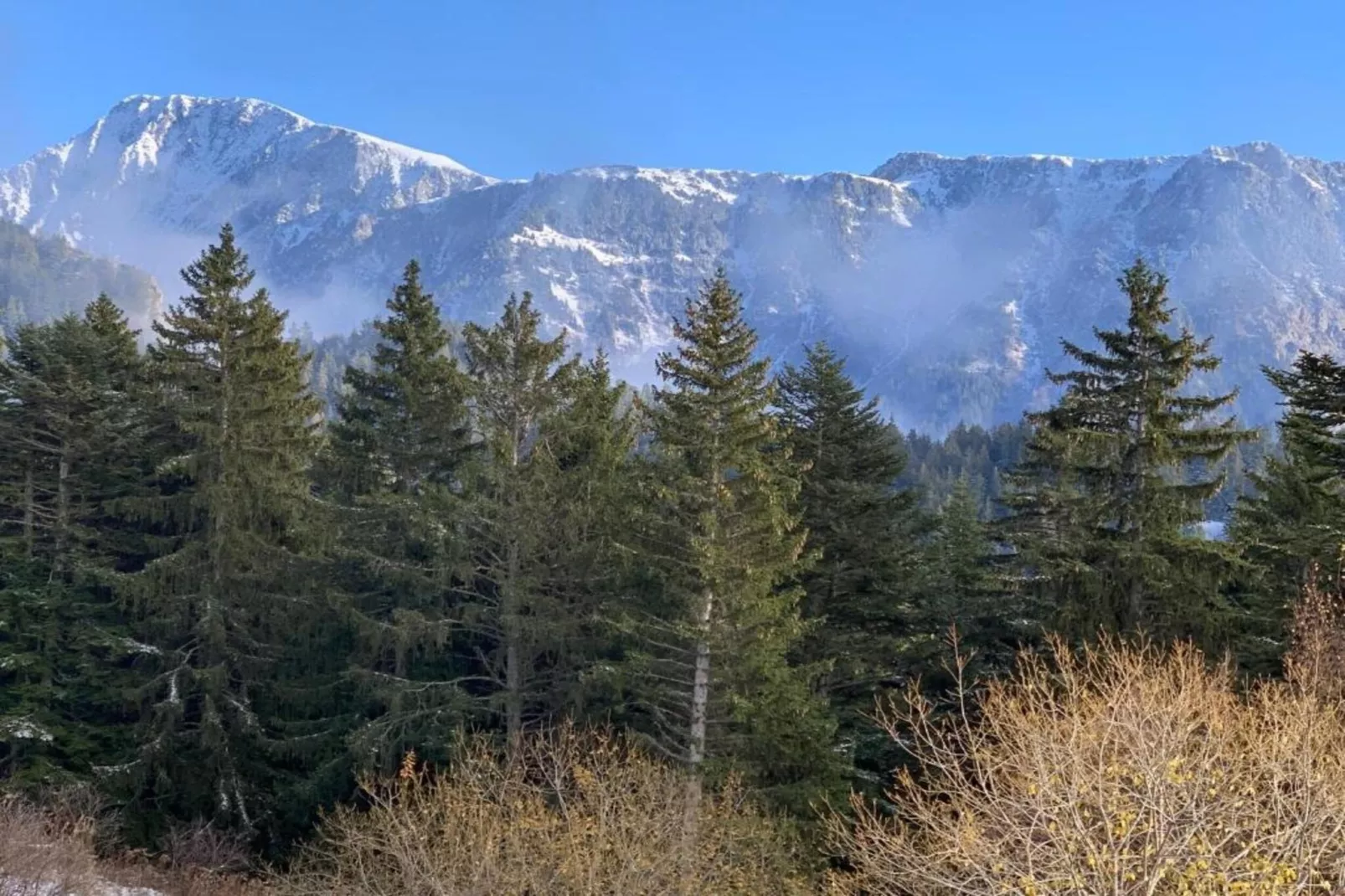 V. du Bachat EPICEA B N°01 - 3P6-Zones été à 5 km