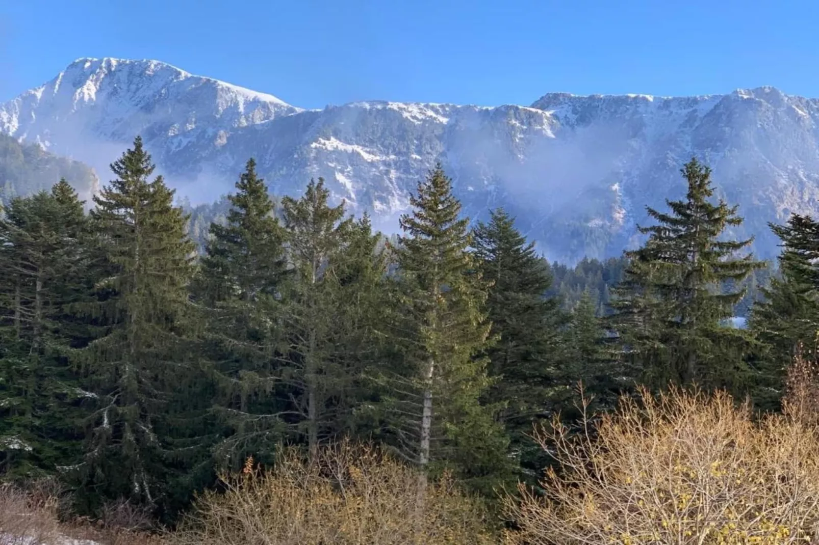 V. du Bachat ASTERS A N°04  - ST4-Gebiete Sommer 5 km