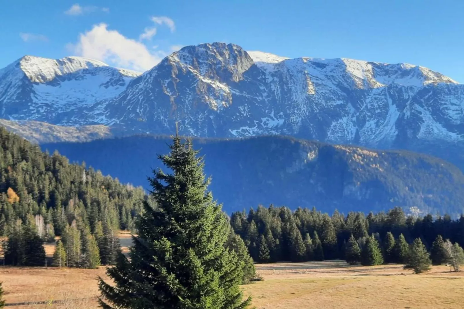 Le Carina N°4 - ST4-Areas within 5km in summer