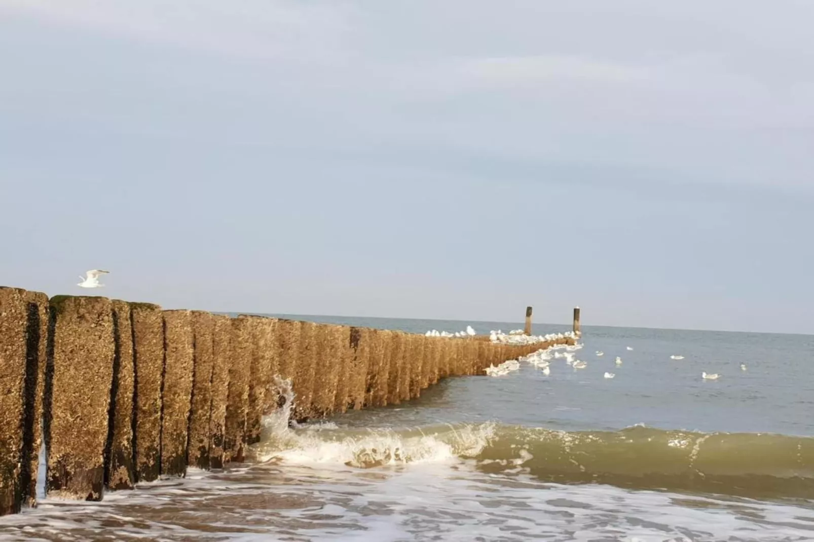 Vakantiehuis voor 6 personen  Hoge Weide 63 Oostkapelle  Dicht bij strand-Gebiete Sommer 20 km