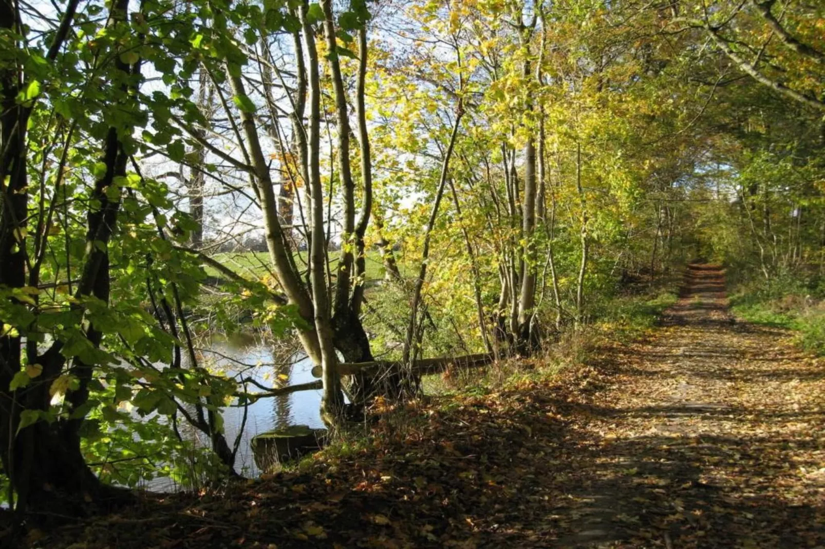 Dreamer-Areas within 5km in summer