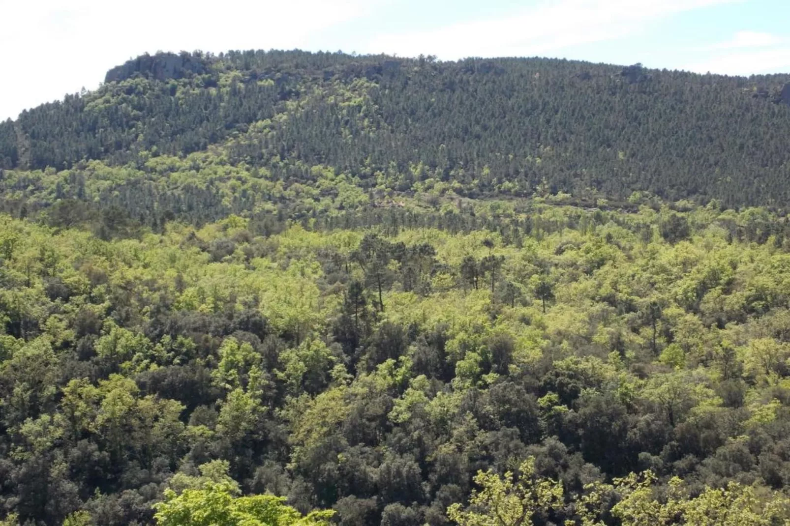 Le Petit Jardin-Areas within 20km in summer