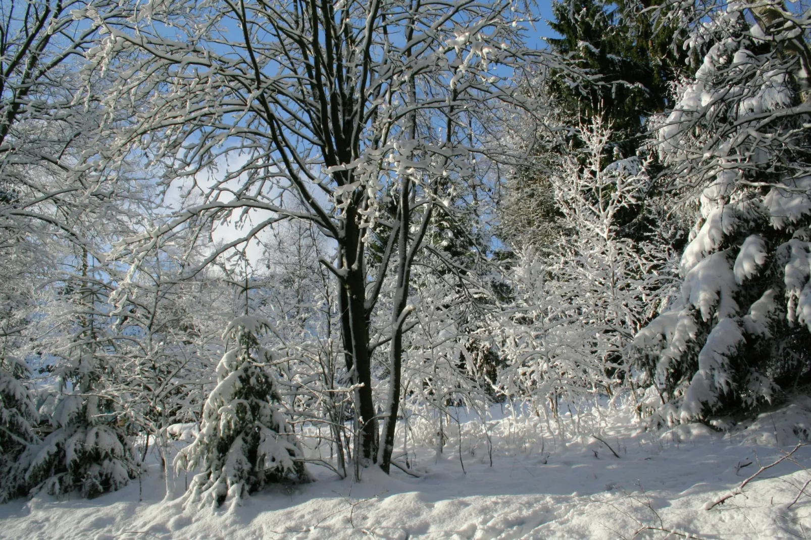 Zum wilden Jakob-Zones hiver à 20 km