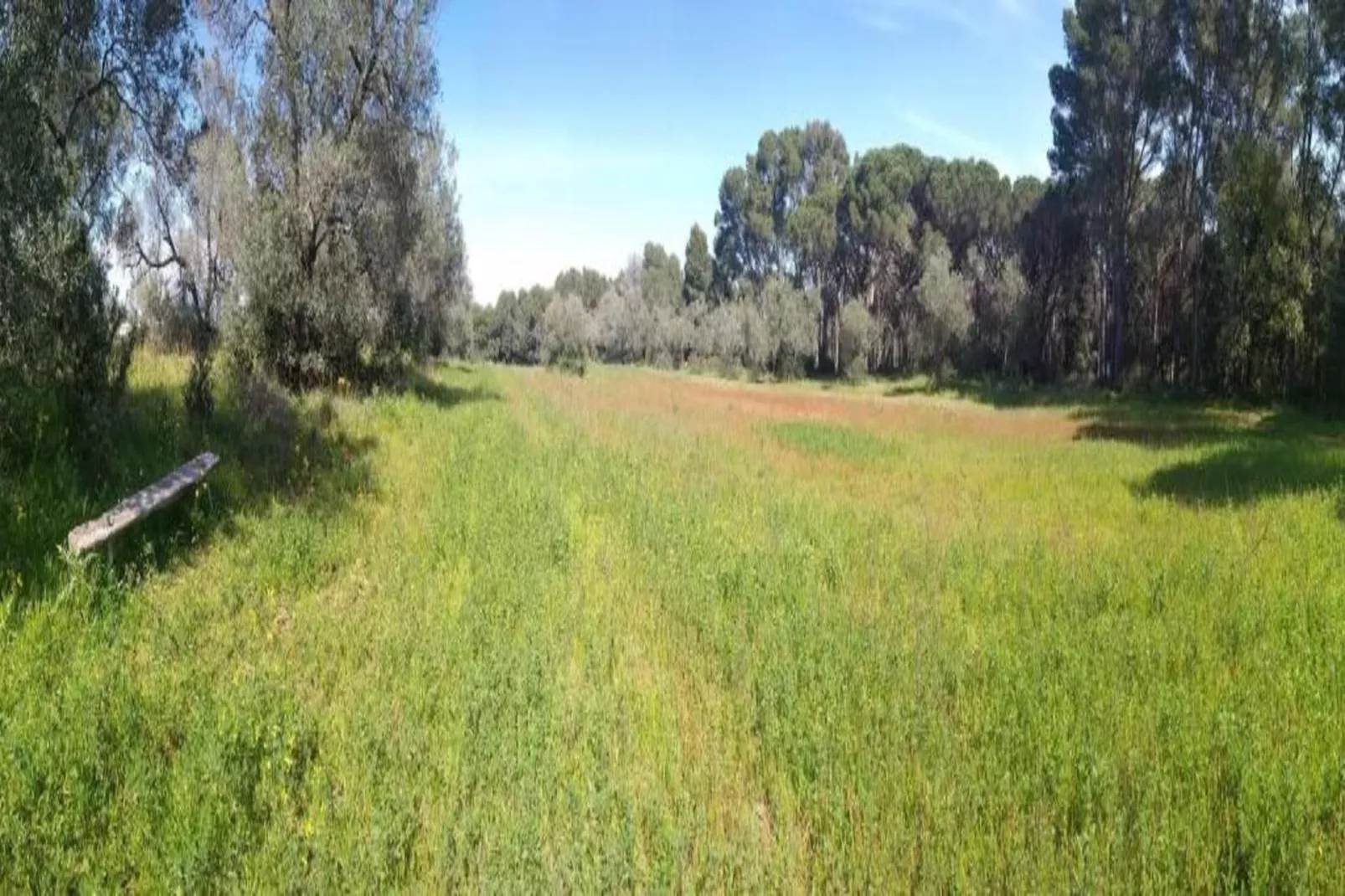 Medas 12-Areas within 5km in summer