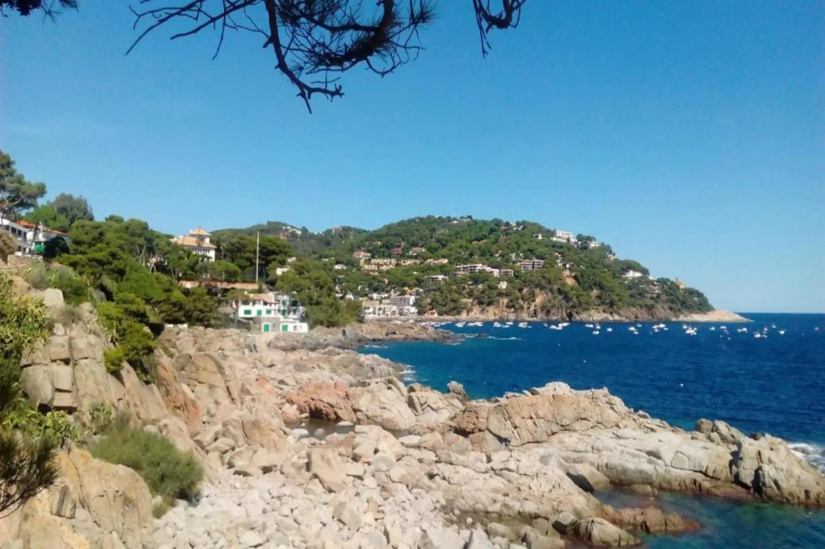 Mas Pinell 44-Areas within 20km in summer