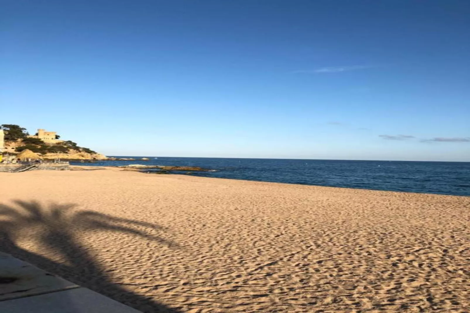Crisantemo-Gebiete Sommer 20 km