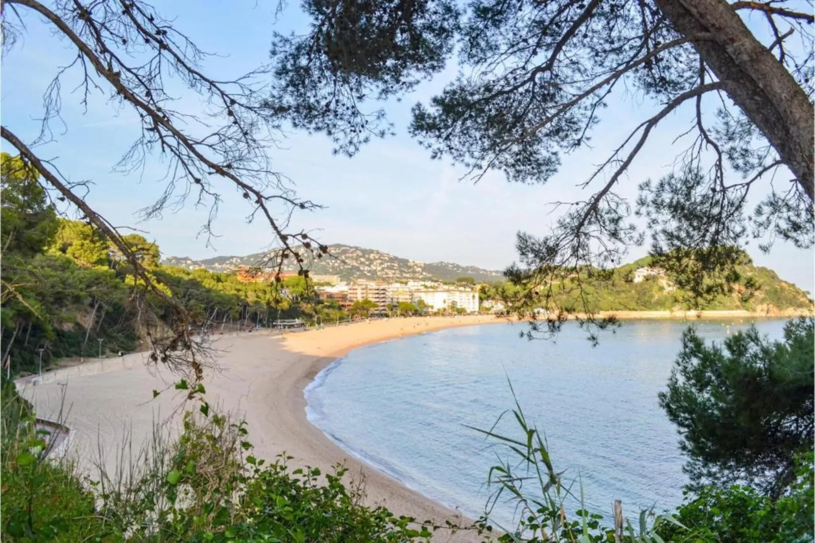 Vila-Areas within 5km in summer