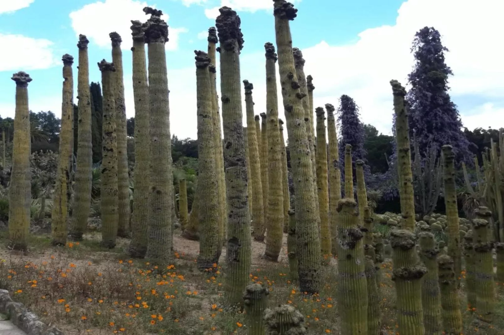 Cipresos 14pax-Areas within 20km in summer