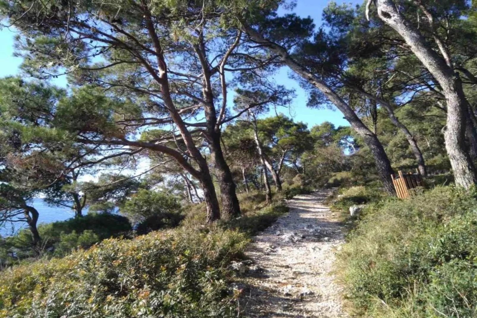 Apartment Banjole - 200 m from the Beach-Zones été à 20 km