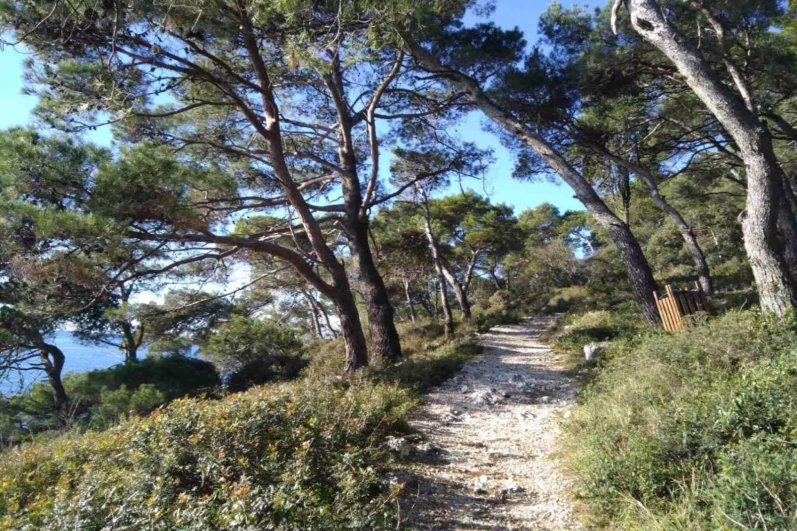 Apartment Aleksandar-Areas within 20km in summer