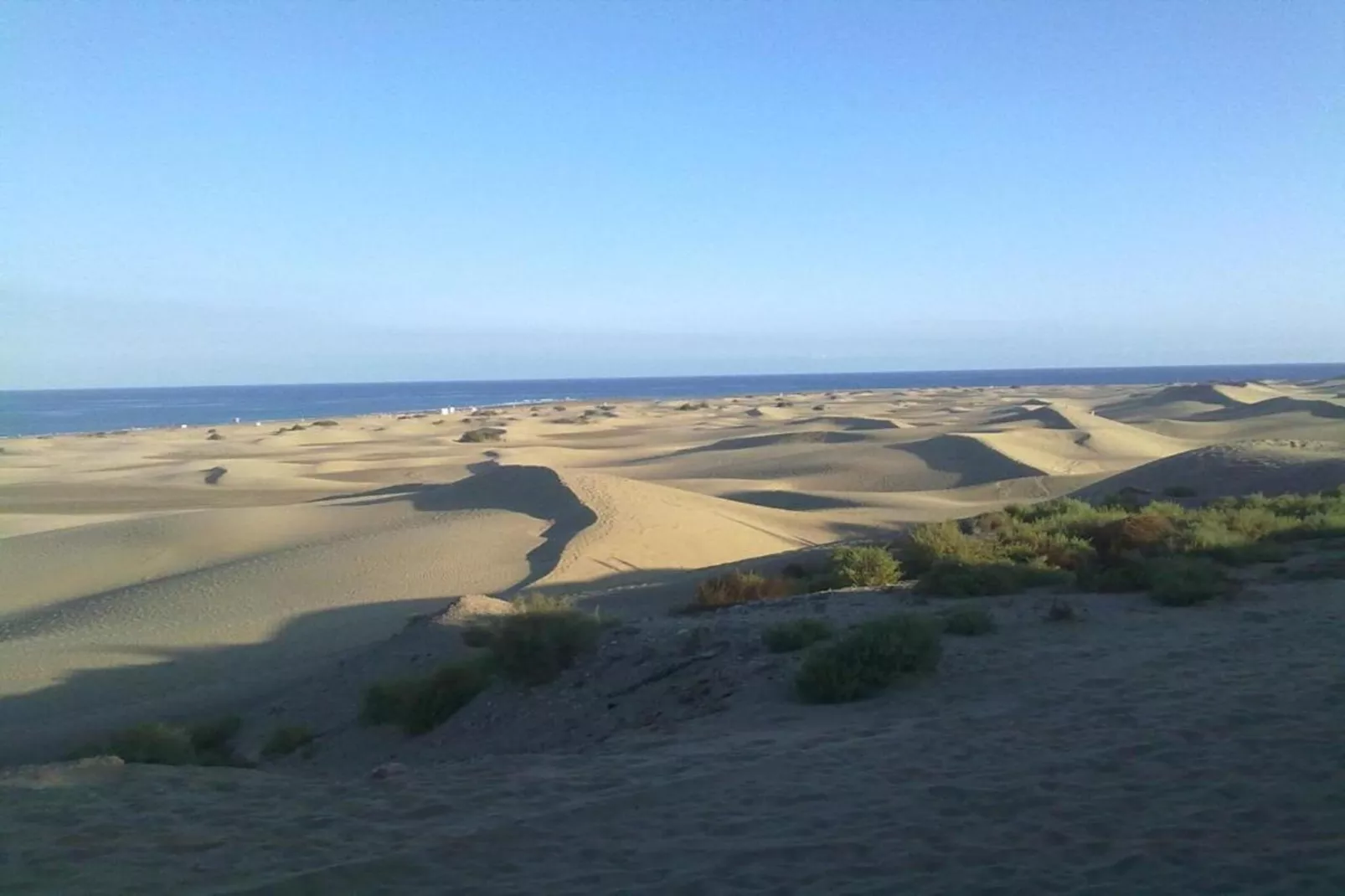 PENKY SUMMER-Areas within 20km in summer