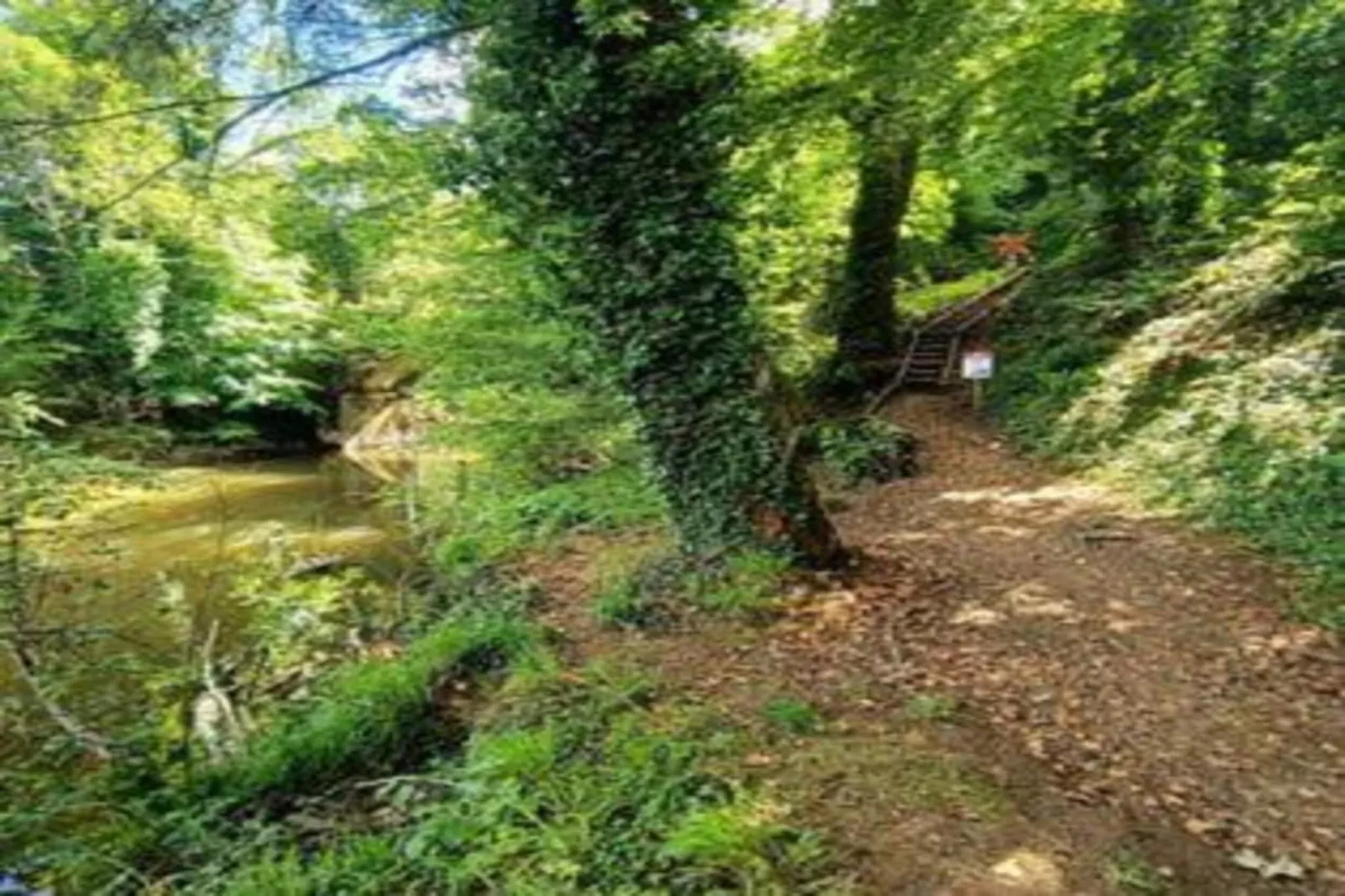 Verblijfpark Ardinam 3-Gebiete Sommer 20 km