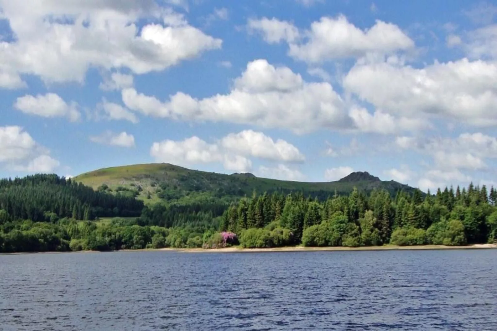 Little Dunley - The Tiny House-Areas within 5km in summer