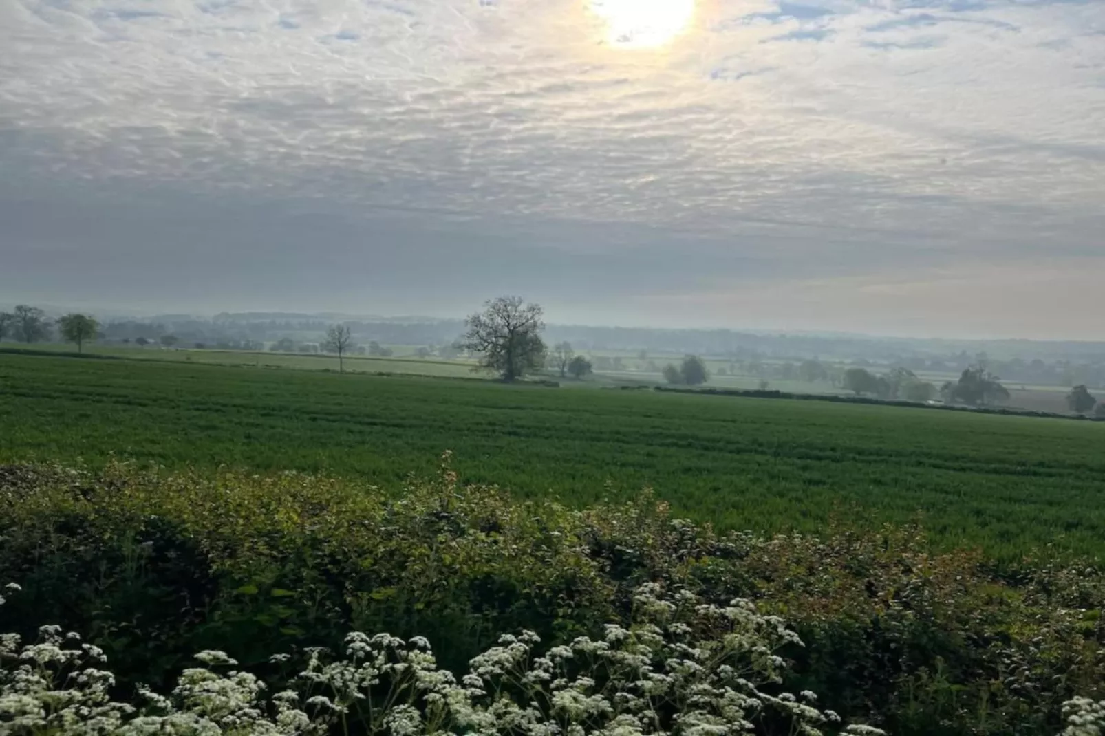 The Chicken Hut-Gebiete Sommer 20 km