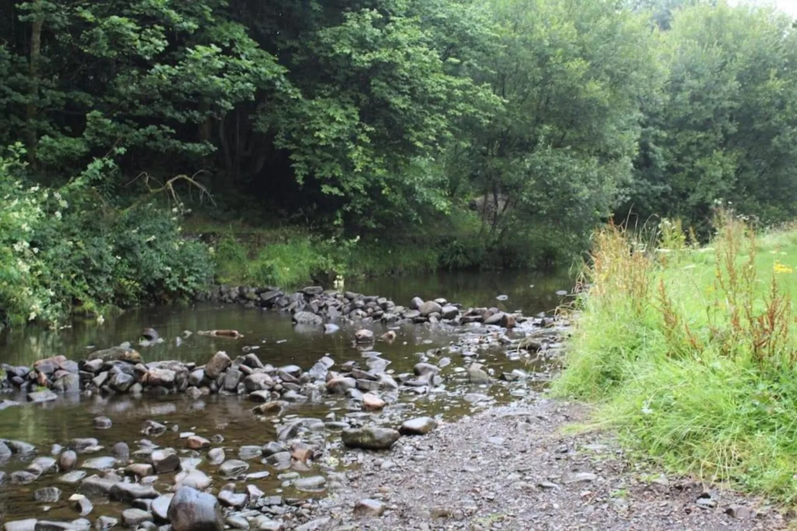 The Nest-Areas within 20km in summer