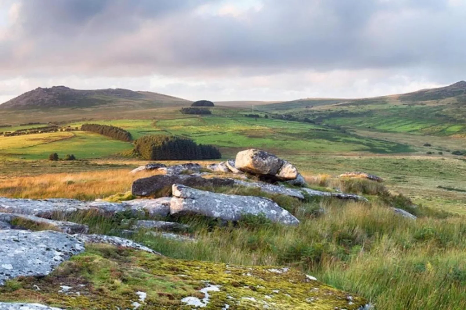 Jubilee Barn Cottage at Bodmin Moor-Areas within 5km in summer