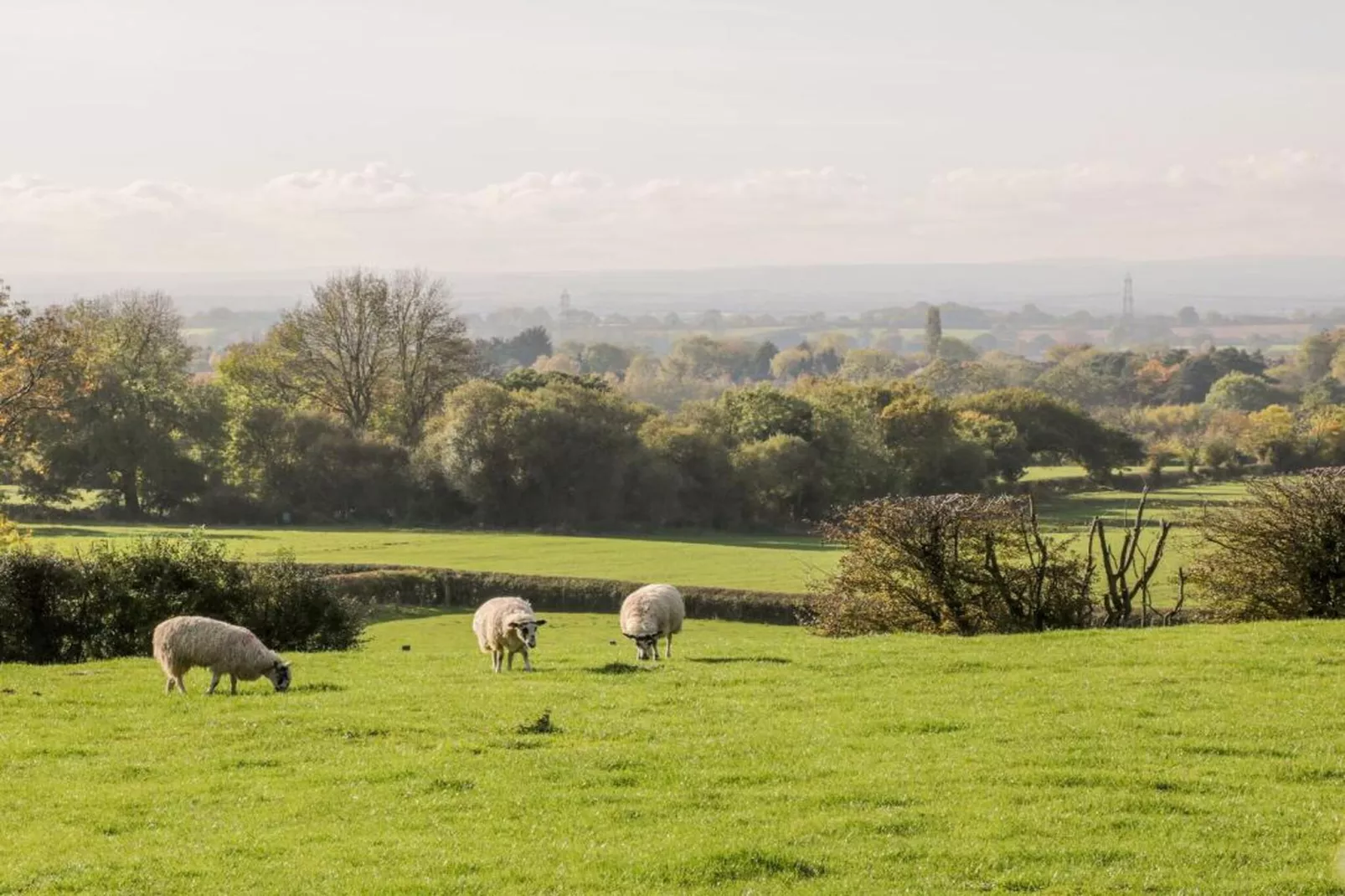 Hambleton Hall Apt-Gebiete Sommer 20 km