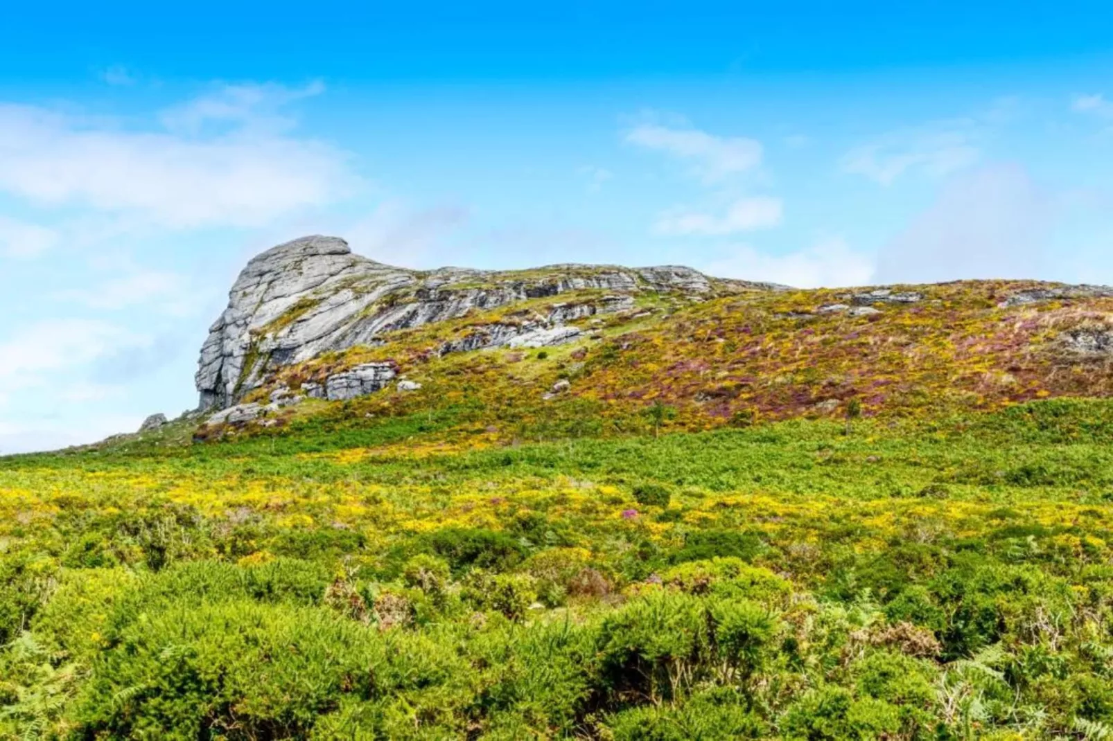 Little Dunley - Acorn Cottage-Areas within 5km in summer